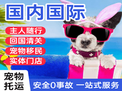 天府航空货运国际宠物托运 【国
